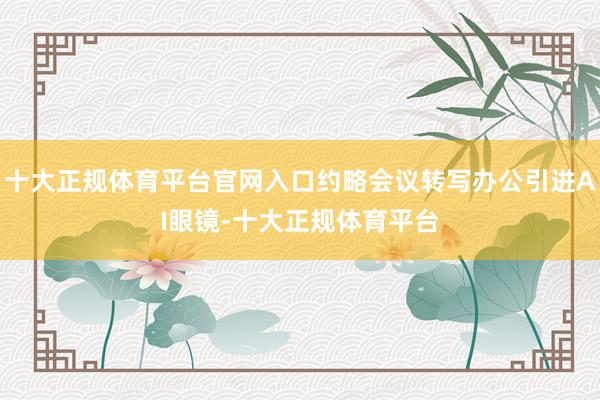 十大正规体育平台官网入口约略会议转写办公引进AI眼镜-十大正规体育平台