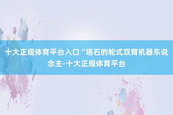 十大正规体育平台入口“珞石的轮式双臂机器东说念主-十大正规体育平台